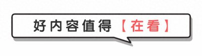 ​奇迹中的巨花玛格丽特：探秘世界上最大的花朵