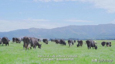 ​伊利农场红酒(伊利农场在哪里)