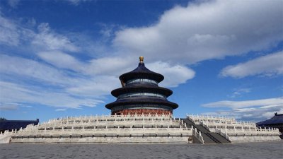 ​世界最特殊的3只“手”，一个在沙漠一个握着树，我国的最有灵性
