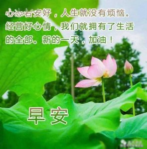 ​8月27日漂亮早上好问候动态表情图片最新版