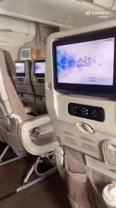 ​惊险！东方航空航班备降厦门化险为夷，航空安全再引关注：