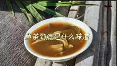 ​鱼茶到底是什么？
