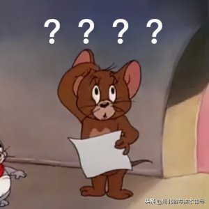 ​重磅揭秘！河北专接本考试各专业录取分数线来啦
