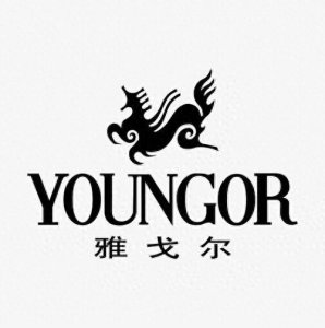 ​“国家队”中国证金TOP20持股名单大揭秘，有哪些公司？