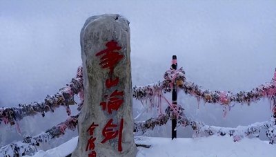 ​百亿富豪一家4口在华山跳崖，只留下出生58天女儿，究竟因为什么