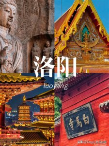 ​洛阳7大市辖区热力图揭秘：各区特色一目了然！