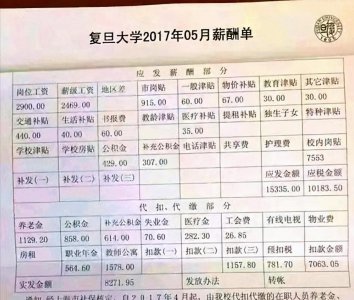 ​复旦大学教授工资单曝光，月收入不低，网友：只是“冰山一角”