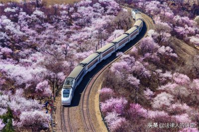 ​法考改革为何要限制非法本？