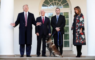 ​追杀ISIS首脑立大功！美军战犬比利时玛利诺犬身价涨5倍
