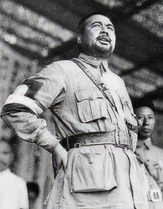 ​蒋介石的“十大元帅”：纸上雄师，梦碎台湾