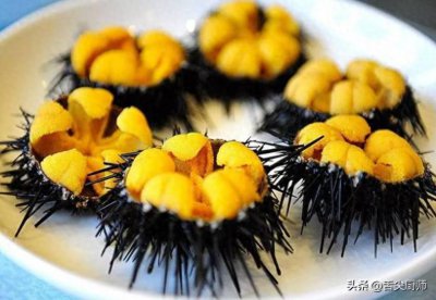 ​大连名菜有哪些？盘点大连十大特色美食，您觉得哪些更应该上榜？
