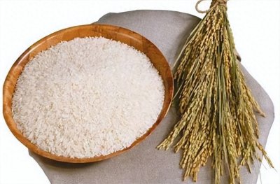 ​新型主食土豆米面世，和水稻小麦能齐名？或为了未来极端情况考虑