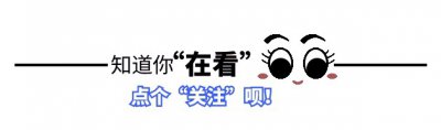 ​被央视“捧红”的海鸭蛋，为什么销声匿迹了？商家说出真相扎心了