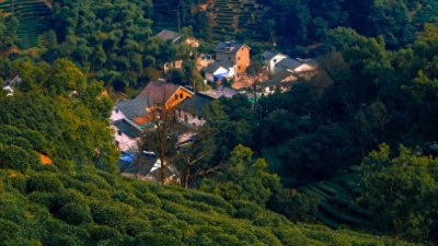 ​浙江十大夏季仙境：避暑胜地，等你来探寻！