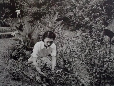 ​赵四小姐到底有多美？一生让张学良痴迷不已，老照片揭秘真实颜