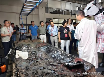 ​冷门考古专业，你真的了解吗。考古学的深度剖析与就业前景揭秘