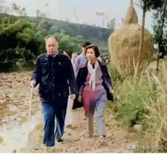 ​59年，陈毅回四川老家，妻子张茜年仅37岁，长相出众，气质非凡