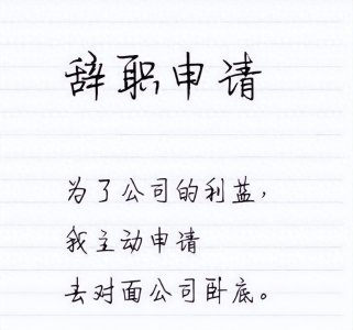 ​员工奇葩的辞职理由，领导神批示