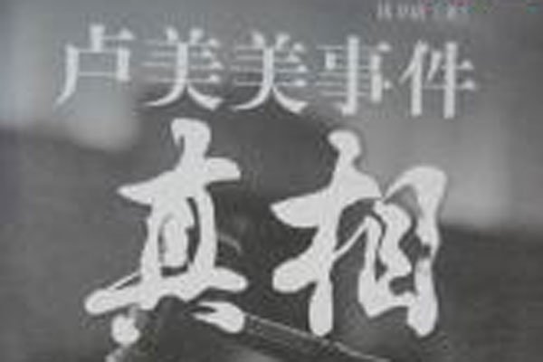卢美美事件始末 父女中非希望工程不简单