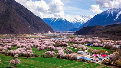 ​Deepseek推荐3月份国内最美10个旅行地，真的有点东西！