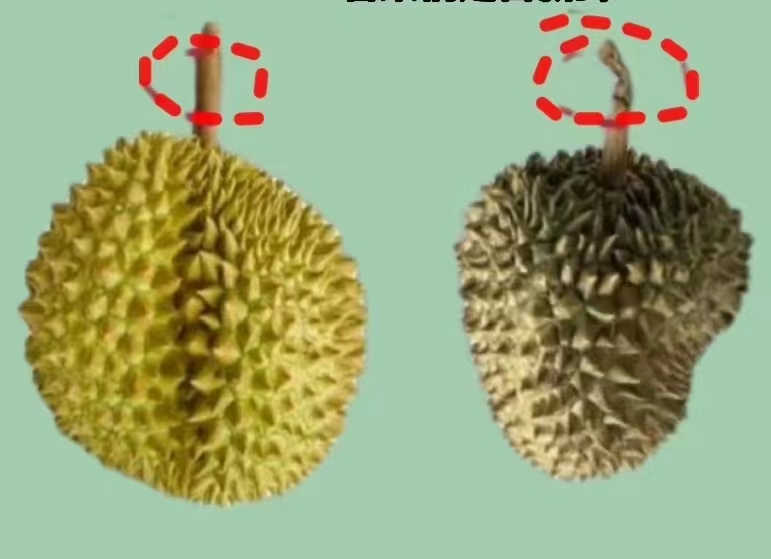 微信图片_202306111518461.jpg