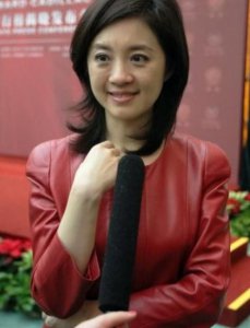 ​许戈辉：一位“嚣张”的央视主持，挺孕肚赶跑正妻，被央视劝退
