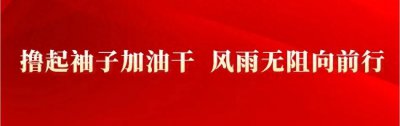 ​2024年邯郸普通高中第二批录取分数线发布！