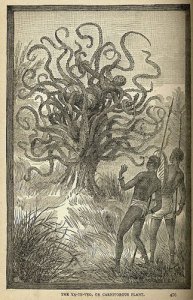 ​世界上有没有食人树的存在 食人树吃人图画 揭开神秘的食人树